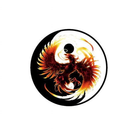 Clube Pugna Artes Marciais